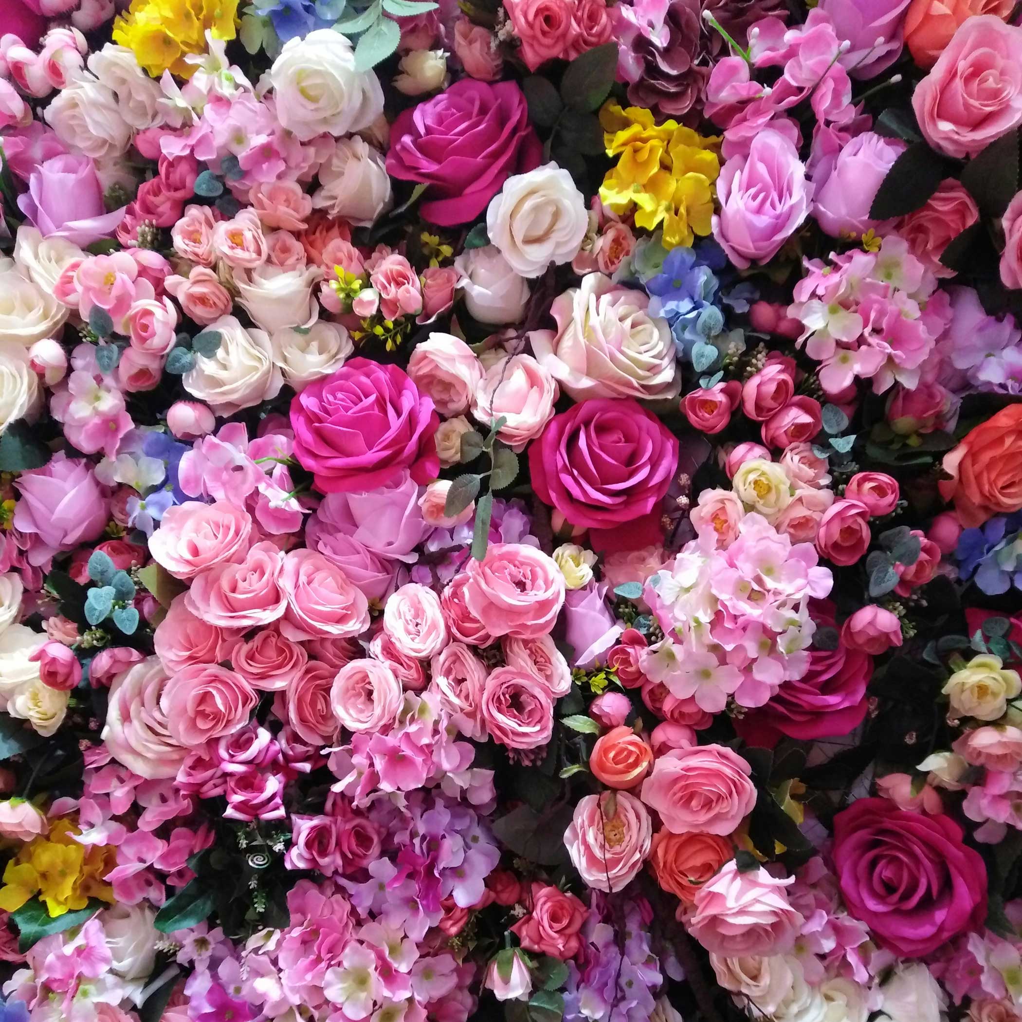 full bg rosenundco.de